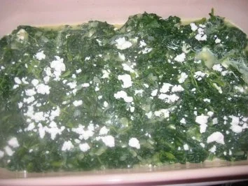 Rezept: Seelachs auf Spinatbett mit Tomatendecke Bild Nr. 3 Seelachs auf Spinatbett mit Tomatendecke - Rezept - Bild Nr. 3