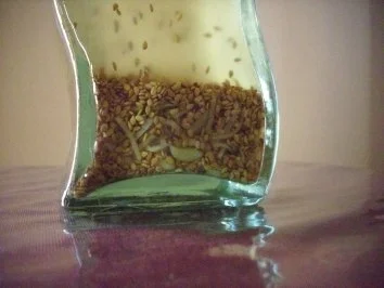 Teufelchens Sesam-Ingwer-Öl - Rezept - Bild Nr. 12