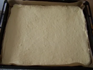 Augsburger Zwetschgendatschi - Rezept - Bild Nr. 2