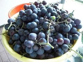 Rezept: Weintrauben-Gelee Weintrauben-Gelee - Rezept