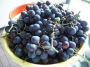 Weintrauben-Gelee - Rezept