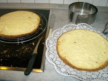 Rezept: Mandarinen Quark Sahne Torte Bild Nr. 3 Mandarinen Quark Sahne Torte - Rezept - Bild Nr. 3