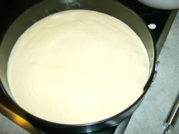 Rezept: Mandarinen Quark Sahne Torte Bild Nr. 5 Mandarinen Quark Sahne Torte - Rezept - Bild Nr. 5