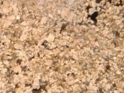 Hausgemachte Tortelloni mit Pilz-Hähnchenfüllung - Rezept - Bild Nr. 2