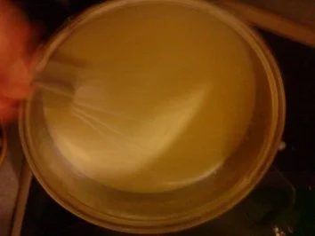 Milchreiskuchen mit Kirschen - Rezept - Bild Nr. 5