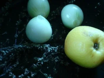 Entenbraten - Rezept - Bild Nr. 3