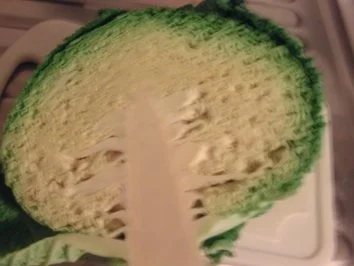 Rezept: Kartoffel-Wirsing-Bratlinge Bild Nr. 2 Kartoffel-Wirsing-Bratlinge - Rezept - Bild Nr. 2