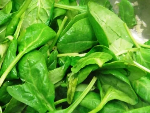 Rezept: Lasagne di Pollo Bild Nr. 4 Lasagne di Pollo - Rezept - Bild Nr. 4