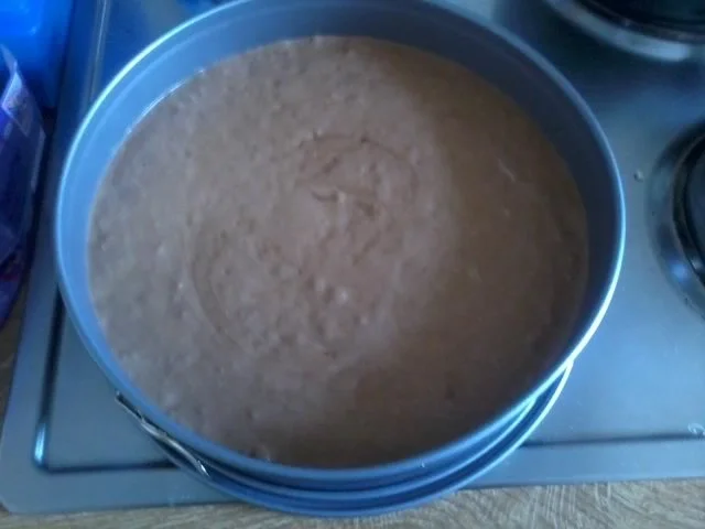 Rezept: Lieblingsschokokuchen Bild Nr. 3 Lieblingsschokokuchen - Rezept - Bild Nr. 3