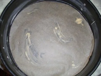 Käsekuchen ohne Boden nach Weight Watchers - Rezept - Bild Nr. 6