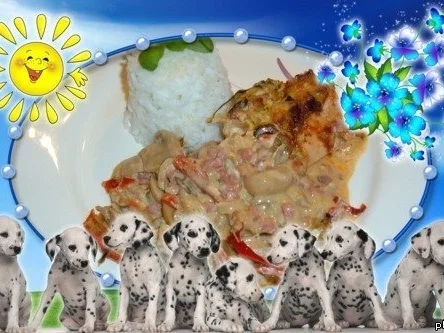 Pusztaschnitzel - Rezept - Bild Nr. 7