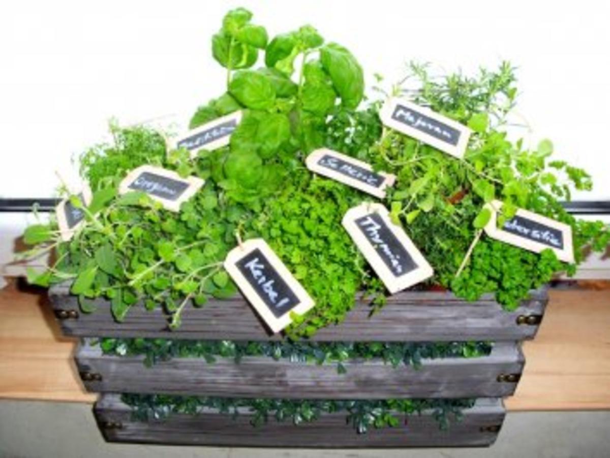 Praktisches Kräutergarten in der Küche Rezept kochbar.de