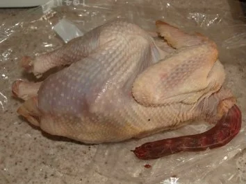 Rezept: Hühnerbrühe vom glücklichen Huhn Bild Nr. 2 Hühnerbrühe vom glücklichen Huhn - Rezept - Bild Nr. 2