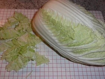 Rezept: Süppchen: Chinakohlsuppe Bild Nr. 2 Süppchen: Chinakohlsuppe - Rezept - Bild Nr. 2