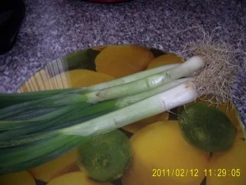 Tomaten-Mett-Topf - Rezept - Bild Nr. 2