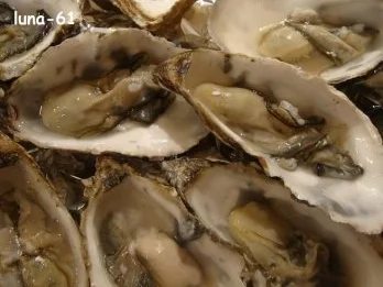 LUNA'S "OBERHAUSENER" AUSTERN - Rezept - Bild Nr. 3