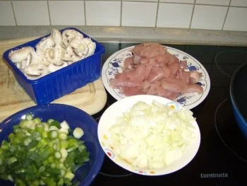 Putengeschnetzeltes mit Reis - Rezept - Bild Nr. 4