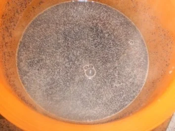 Rezept: Mohnspeise Bild Nr. 4 Mohnspeise - Rezept - Bild Nr. 4