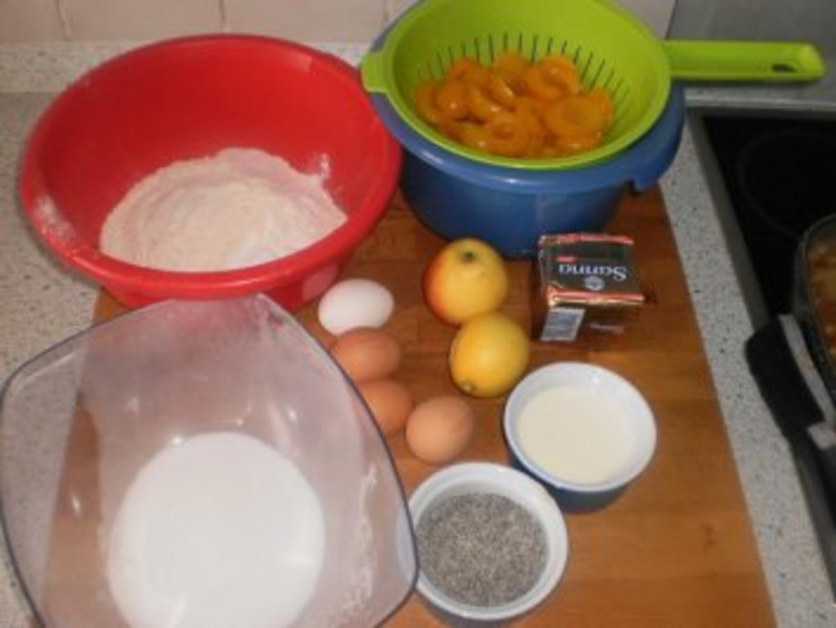 Mohn-Marmorkuchen mit Aprikosen - Rezept - Bild Nr. 2