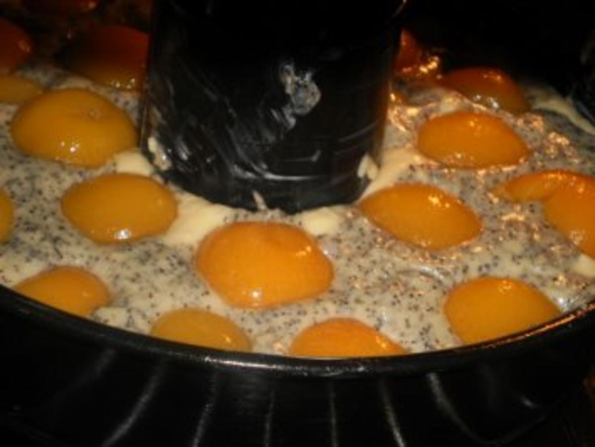 Mohn-Marmorkuchen mit Aprikosen - Rezept - Bild Nr. 10