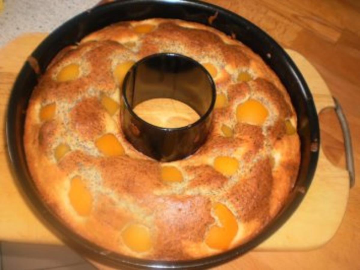 Mohn-Marmorkuchen mit Aprikosen - Rezept - Bild Nr. 11