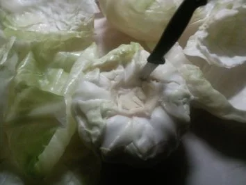 Kohlrouladen - Rezept - Bild Nr. 3