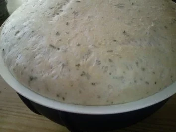 Rezept: Ciabatta mit italienischen Kräutern Bild Nr. 3 Ciabatta mit italienischen Kräutern - Rezept - Bild Nr. 3