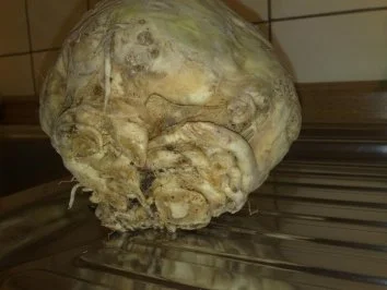 Sellerie Beilage - Rezept - Bild Nr. 2