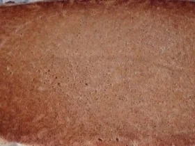 Rezept: Biskuit-Sahne-Nussschnitten Bild Nr. 5 Biskuit-Sahne-Nussschnitten - Rezept - Bild Nr. 5