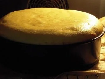 Rezept: Käsekuchen mit Mandarinenfilets Bild Nr. 8 Käsekuchen mit Mandarinenfilets - Rezept - Bild Nr. 8