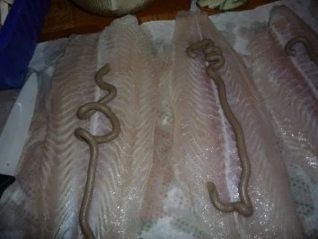 Pangasius unter der Phantasiehaube - Rezept - Bild Nr. 3