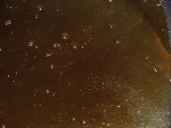 Kürbiskern-Wasabi-Parfait - Rezept - Bild Nr. 2