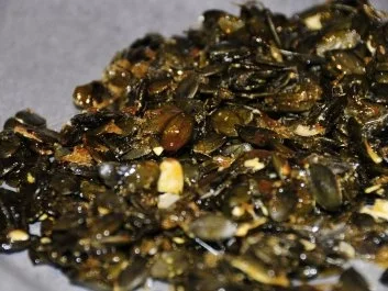 Kürbiskern-Wasabi-Parfait - Rezept - Bild Nr. 3