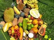 Ananas &  Kumara  Sahnedessert - Rezept