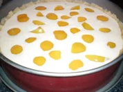 Pfirsisch- Käsekuchen - Rezept
