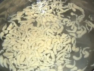 Rezept: Käsespätzle Bild Nr. 4 Käsespätzle - Rezept - Bild Nr. 4