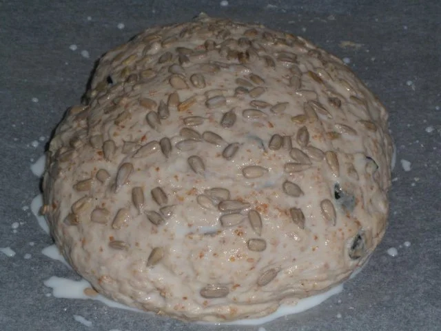 Körner-Brot - Rezept - Bild Nr. 11