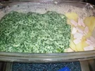 Kartoffel- Spinat- Gratin - Rezept