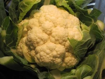 Blumenkohl in fein-cremiger Käsesoße - Rezept - Bild Nr. 2