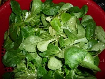 Feldsalat mit Preisselbeersauce - Rezept - Bild Nr. 2