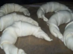 Rezept: schnelle Schokoladen - Hörnchen Bild Nr. 3 schnelle Schokoladen - Hörnchen - Rezept - Bild Nr. 3