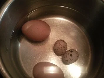 versteckte Eier  mit Biersößchen - Rezept - Bild Nr. 2