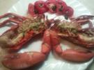 Hummer - Rezept