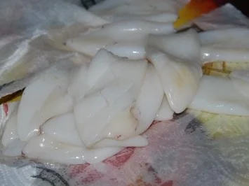 Tintenfischtuben auf gratiniertem Fenchelbett - Rezept - Bild Nr. 7