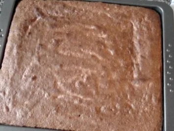 Rezept: Biskuit-Pfirsich-Sahneschnitte Bild Nr. 8 Biskuit-Pfirsich-Sahneschnitte - Rezept - Bild Nr. 8