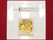 Tomatenessenz mit Juliennes und molekularer Olivenöl-Nudel (Helmut Zerlett) - Rezept - Bild Nr. 16