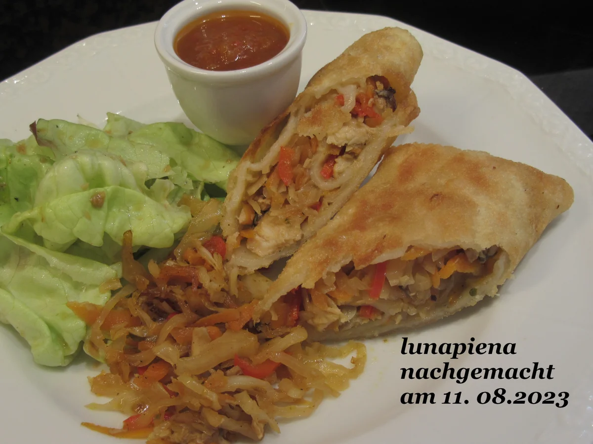 Frühlingsrollen - Rezept - Bild Nr. 2