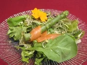 Rezept: Sommersalate mit grรผnem Spargel und gerรคuchertem Lachs Sommersalate mit grรผnem Spargel und gerรคuchertem Lachs - Rezept