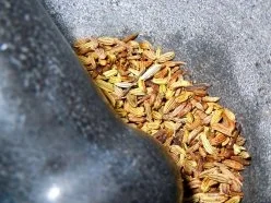 Rezept: Fenchel-Hackbällchen in San-Marzano-Tomaten-Sauce Bild Nr. 3 Fenchel-Hackbällchen in San-Marzano-Tomaten-Sauce - Rezept - Bild Nr. 3