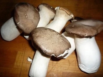 Salat mit Kräutersaitlingen und Bratkartoffeln - Rezept - Bild Nr. 2